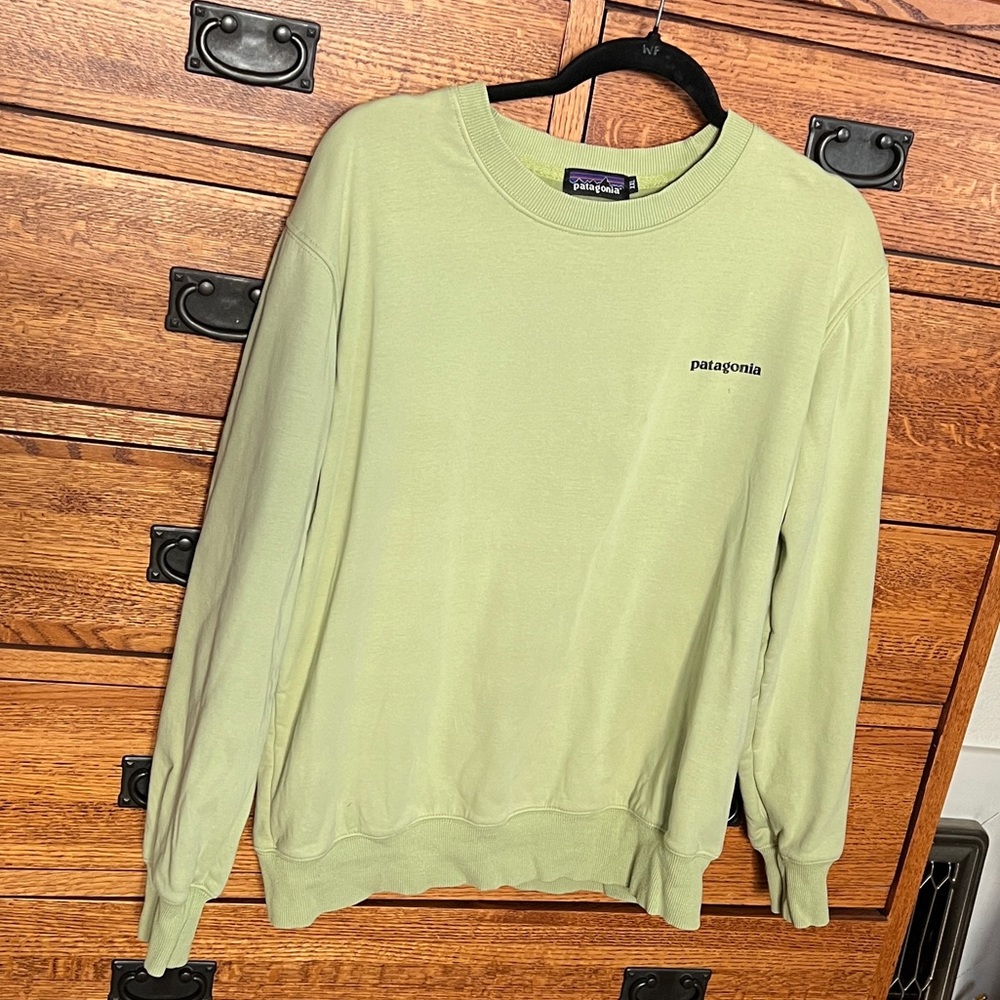 Patagonia green fleece lined sweatshirt